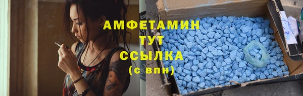 дмт Инсар
