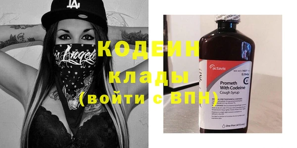 дмт Инсар