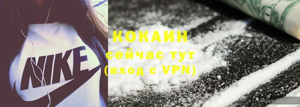гидра Инта