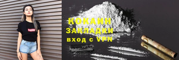 гидра Инта