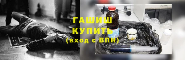 гидра Инта
