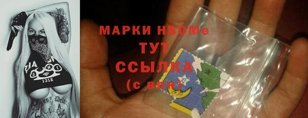 дмт Инсар