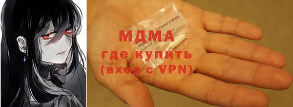 гидра Инта
