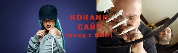 гидра Инта