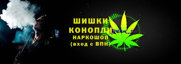 гидра Инта