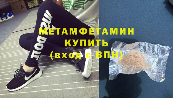 гидра Инта