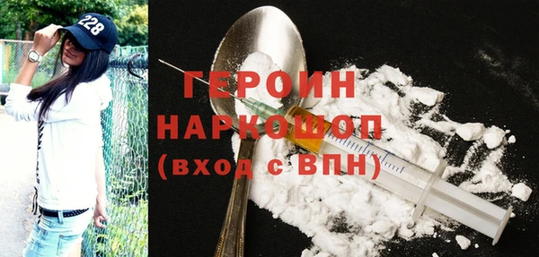 гидра Инта