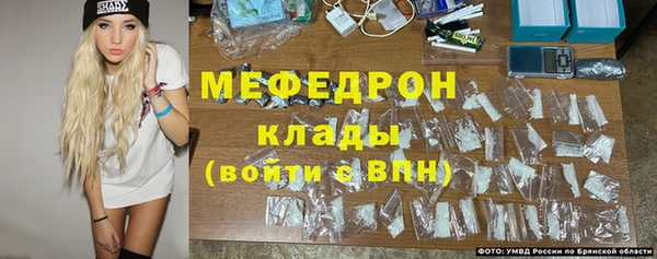 гидра Инта