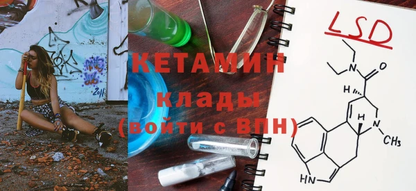 гидра Инта