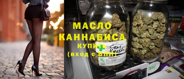 гидра Инта