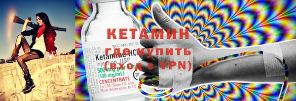 гидра Инта