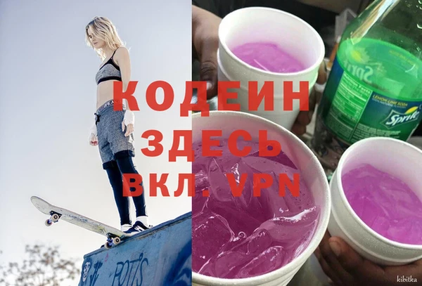 гидра Инта