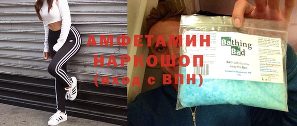гидра Инта