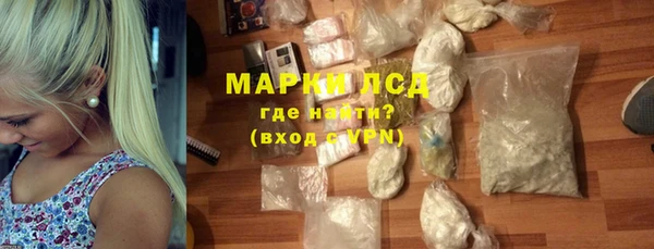 гидра Инта