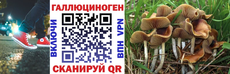 KRAKEN ТОР  Шатура  Галлюциногенные грибы мухоморы 