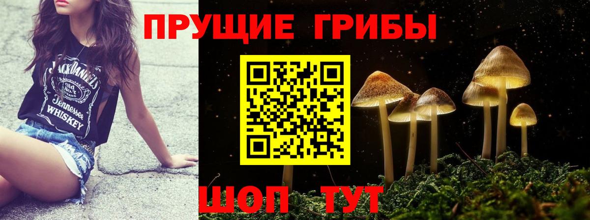 Галлюциногенные грибы Magic Shrooms  Вход с VPN  даркнет сайт  Шатура 